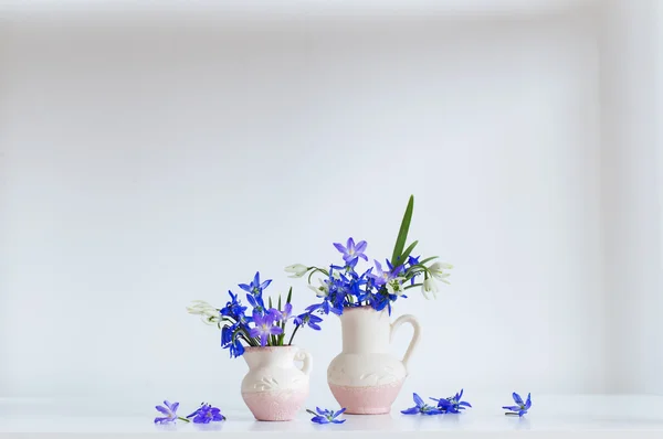 Bodegón con flores azules de primavera —  Fotos de Stock