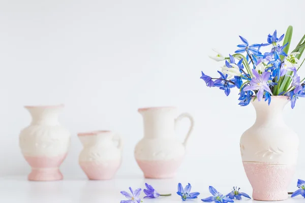 Bodegón con flores azules de primavera — Foto de Stock