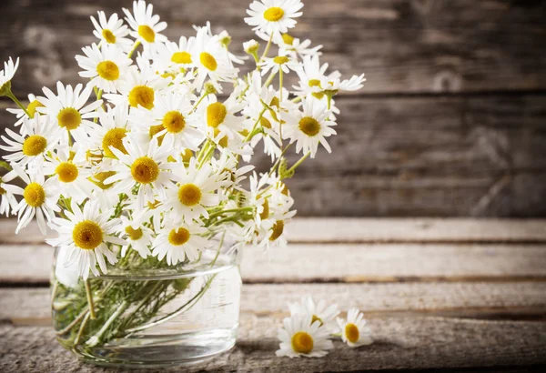 chamomiles ahşap arka plan üzerinde cam vazoda buket