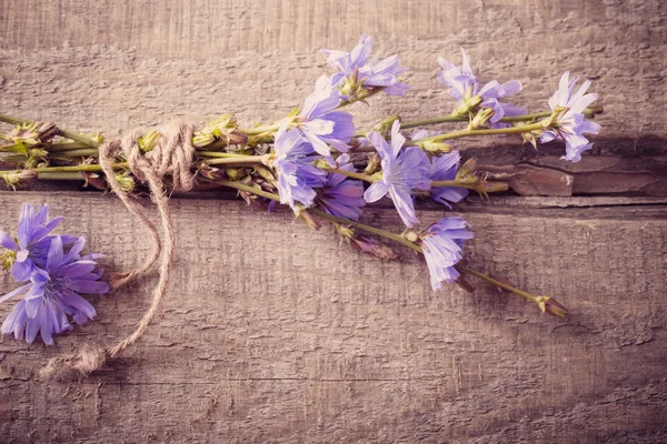 木製の背景に青いチコリの花 — ストック写真