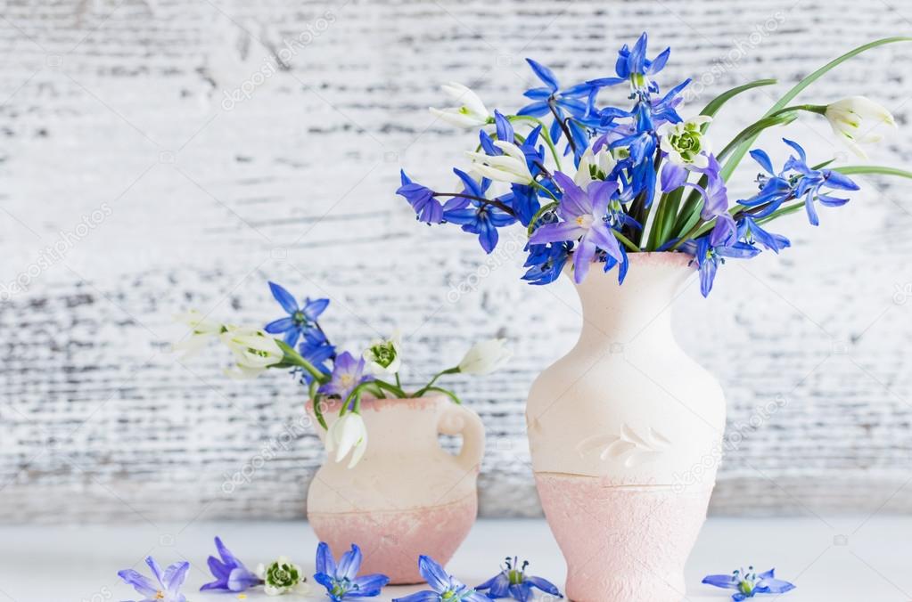 Still life with spring blue flowers