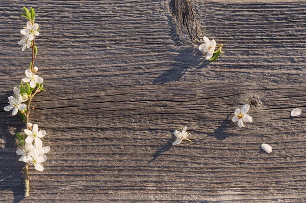 Flores sobre fondo de madera —  Fotos de Stock