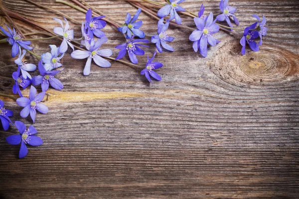 Blauwe bloemen op houten achtergrond — Stockfoto