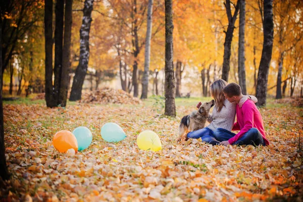 Giovane coppia con cane nel parco autunnale — Foto Stock