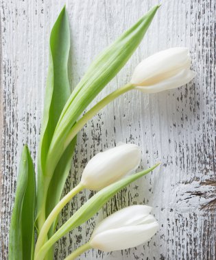 ahşap arka plan üzerinde beyaz laleler
