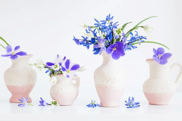 Natureza morta com flores azuis de primavera — Fotografia de Stock