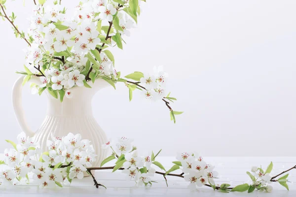 Flores de primavera em um vaso — Fotografia de Stock