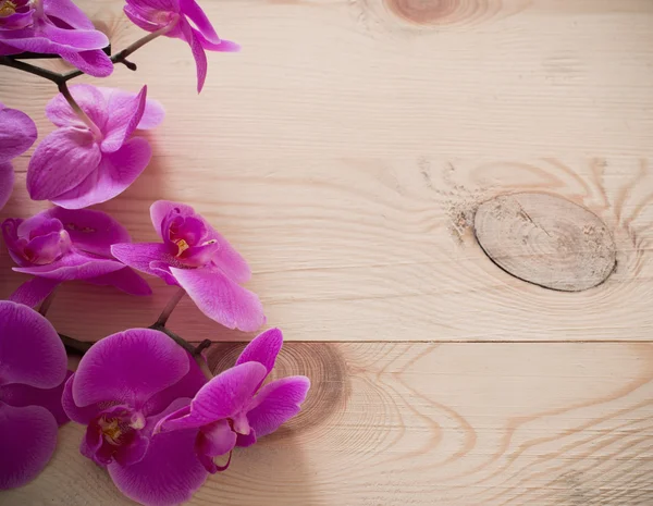 Ροζ ορχιδέα λουλούδια σε ξύλινο φόντο — Φωτογραφία Αρχείου