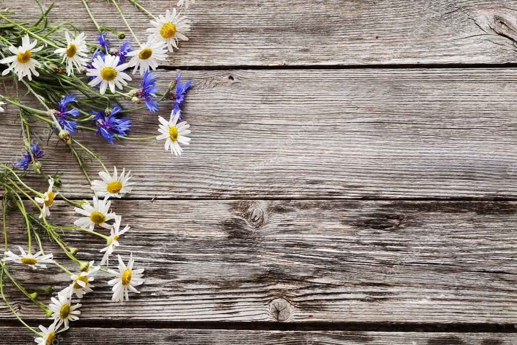 Flowers on wooden background — Stock Photo © Kruchenkova 72289575