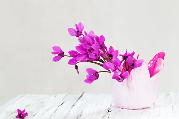 Flowers on white background — Stock Photo, Image