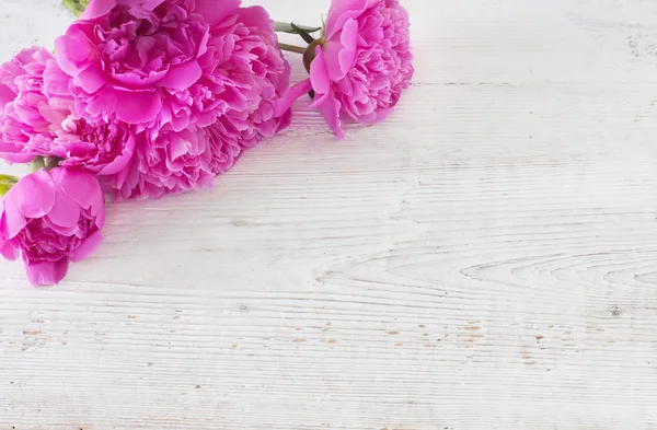 Flores sobre fondo de madera blanco — Foto de Stock