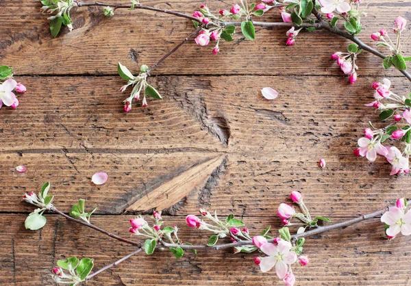 Flores de manzana sobre fondo de madera —  Fotos de Stock