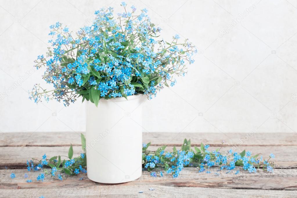 spring flowers on white background