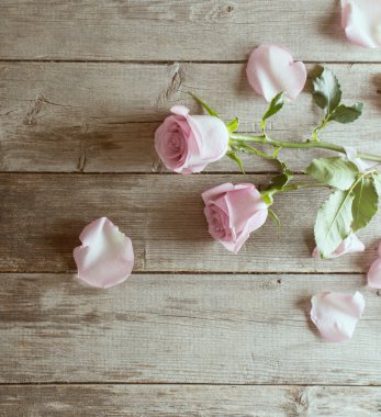 Ahşap arka planda pembe güller