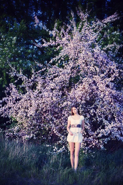 Hermosa joven sobre fondo floreciente manzano — Foto de Stock