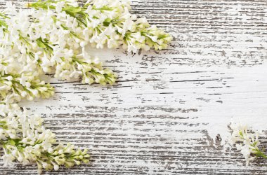 Beyaz ahşap zemin üzerinde güzel leylak