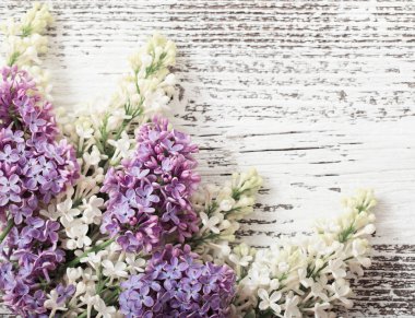 Ahşap arka plandaki güzel leylak