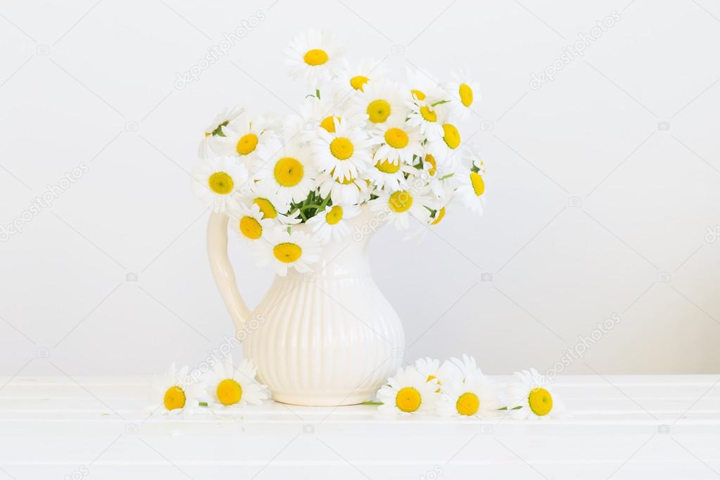 Bouquet of daisies on white background