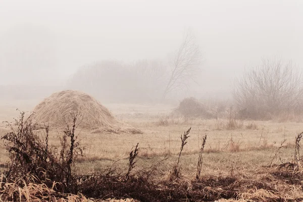 Podzimní krajina — Stock fotografie