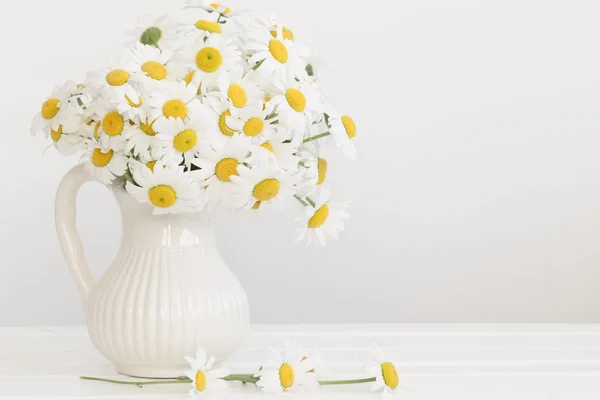 白地のデイジーの花束 — ストック写真