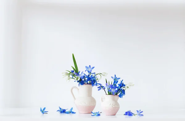 静物与蓝色的春天的花朵 — 图库照片