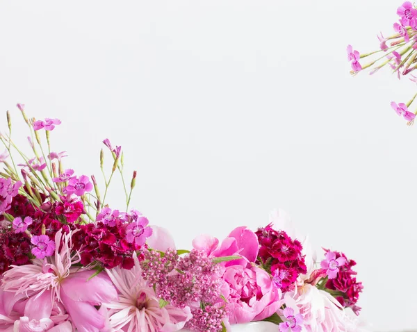 하얀 배경에 있는 분홍색 꽃들 — 스톡 사진