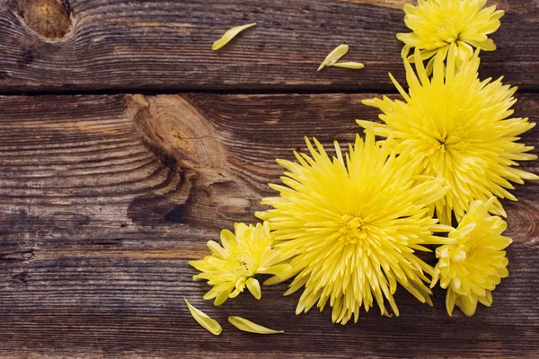 Blumen auf Holzgrund — Stockfoto