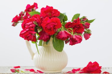  sürahi içinde adet kırmızı gül