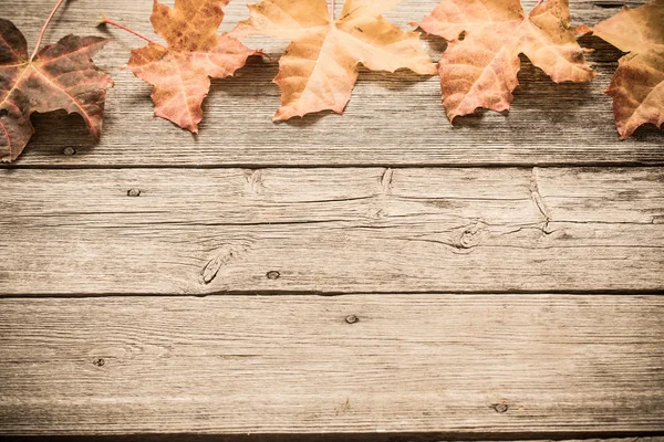 Hojas de otoño sobre fondo de madera — Foto de Stock