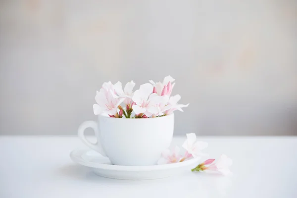 Stilles Leben mit Blumen in weißer Tasse — Stockfoto