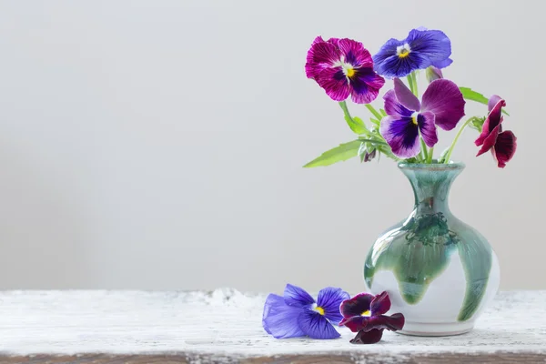 Beautiful violet flowers on white background — Stock Photo, Image