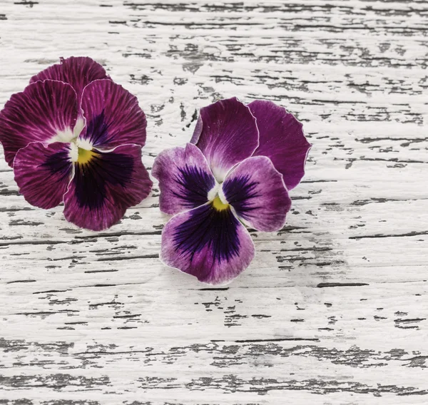 Dvě nádherné květiny na vinobraní dřevěné pozadí — Stock fotografie