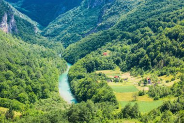 Aşağı Milli Parkı Durmitor, Mo Durdevica Bridge'de görüntülemek