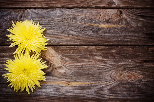 Blumen auf Holzgrund — Stockfoto