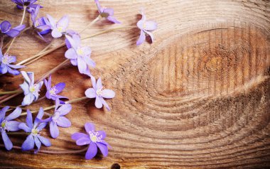 Ahşap arka planda mavi çiçekler