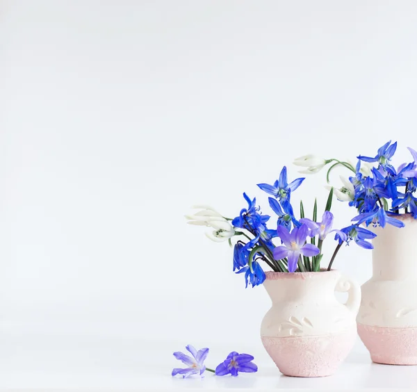 静物与蓝色的春天的花朵 — 图库照片