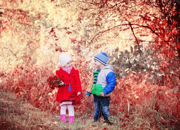 Twee kinderen in herfst park — Stockfoto