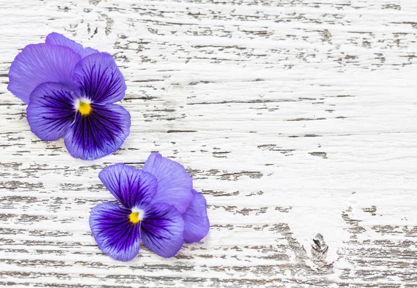Dvě nádherné květiny na vinobraní dřevěné pozadí — Stock fotografie