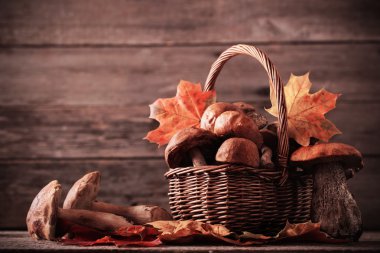 ahşap arka plan üzerinde mantar çörek