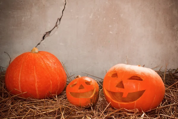 Calabaza de Halloween en la pared de fondo viejo — Foto de Stock