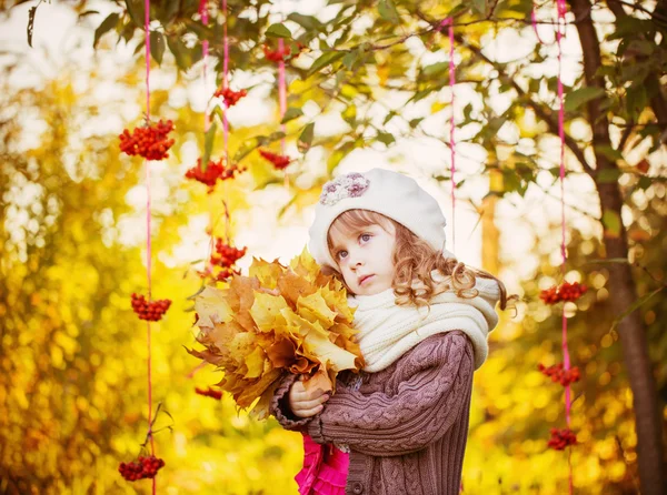 Beautiful girl with autumn park — Stock Photo, Image