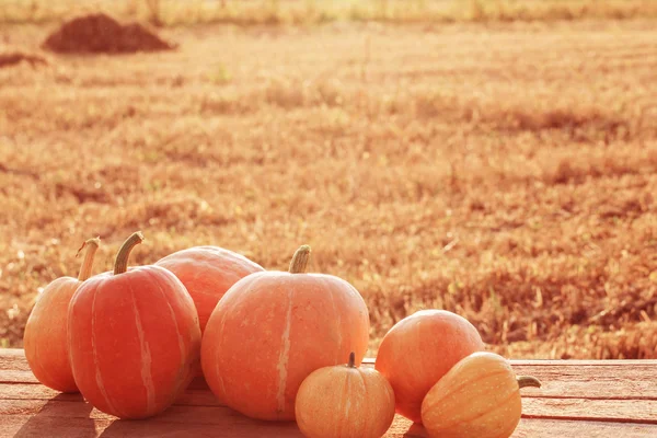 Pumpkins on wooden table outdoor — Stock Photo, Image