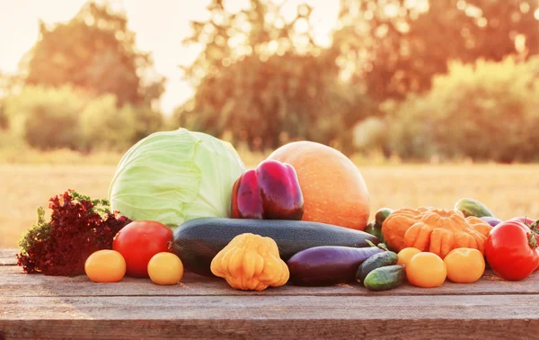 Grönsaker på träbord utomhus — Stockfoto