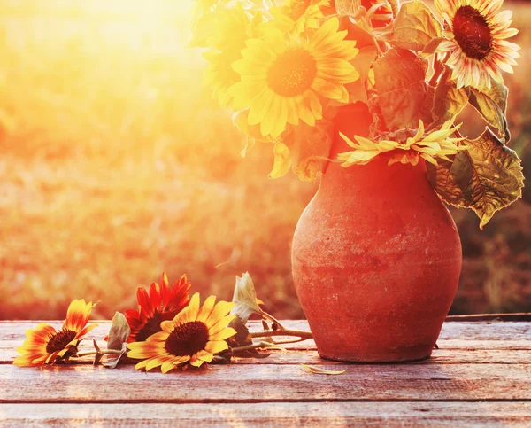 Sunflowers in jug at sunset — Stock Photo, Image