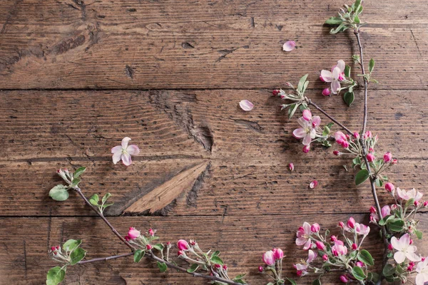 Fleurs de pomme sur fond en bois — Photo