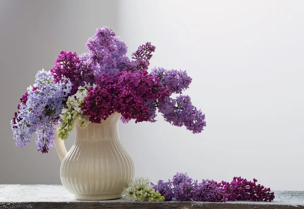 The beautiful lilac on white background — Stock Photo, Image