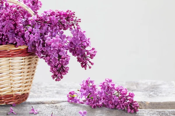 Basket with a branch of lilac flower on a wooden background — Stock Photo, Image