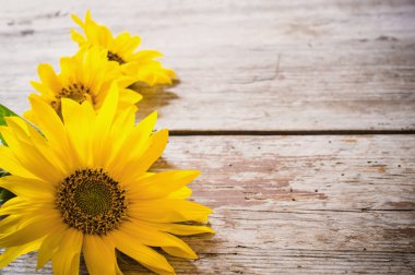 ahşap arka planda ayçiçekleri