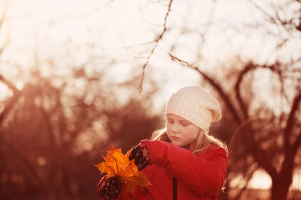 Ragazza nel soleggiato parco autunnale — Foto Stock