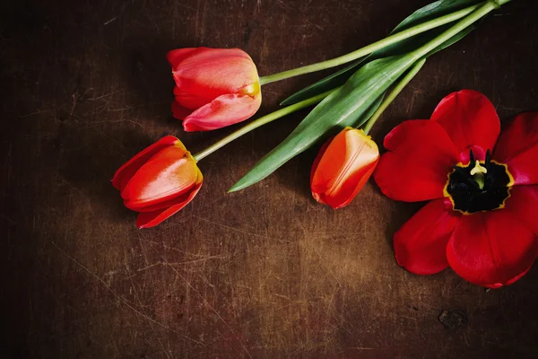 Tulipanes rojos sobre fondo de madera viejo —  Fotos de Stock